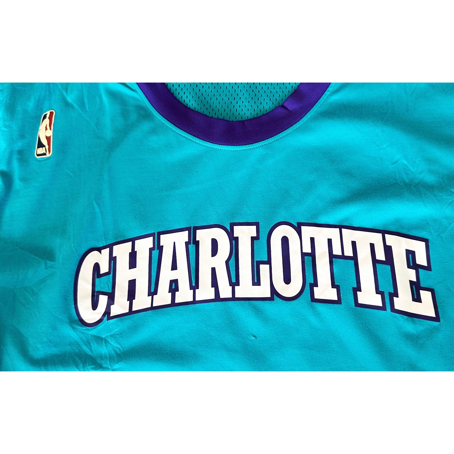 CHARLOTTE NBA BLUE SIZE- L BASEBALL JERSEYS