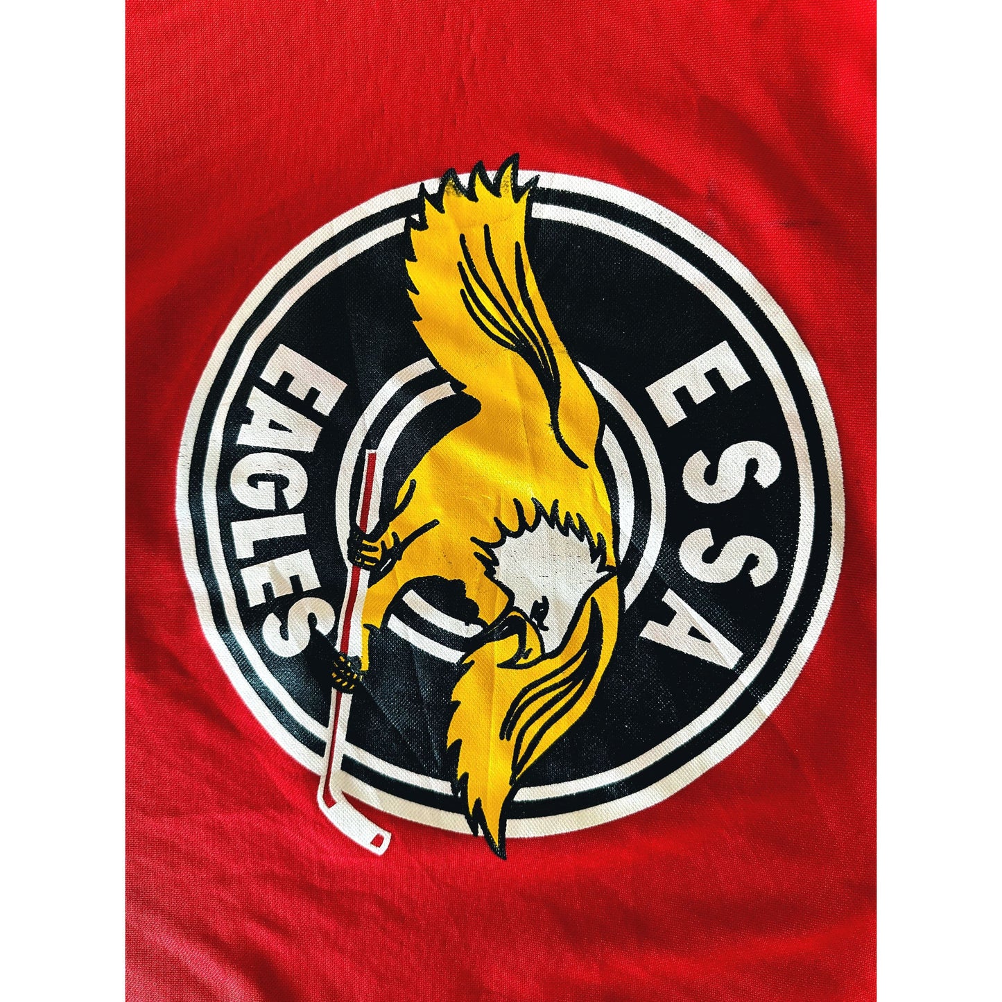 EAGLES ESSA SIZE-M ICE HOCKEY JERSEYS .