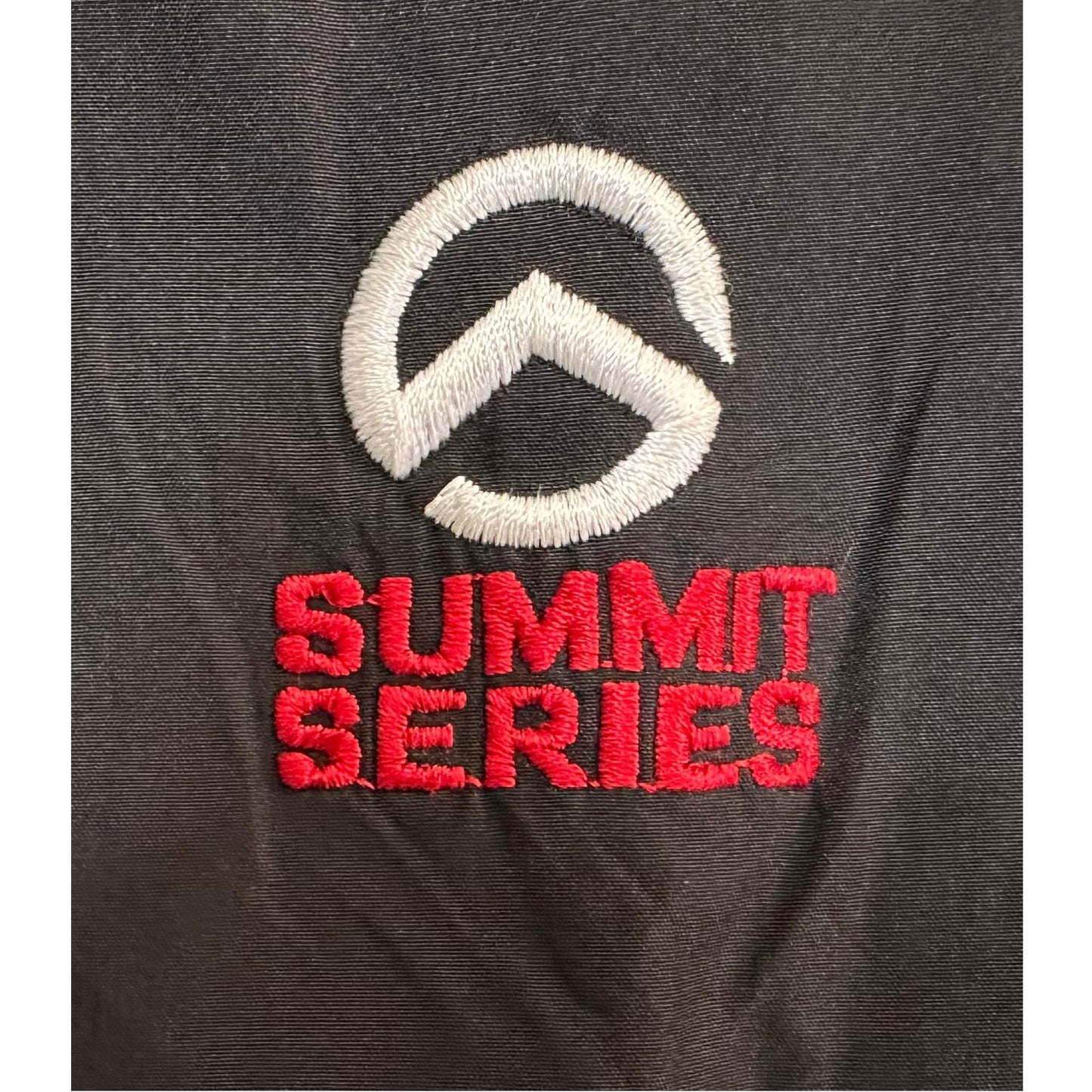 THE NORTH FACE SUMMIT SERIES PREMIUM JACKET SIZE L -