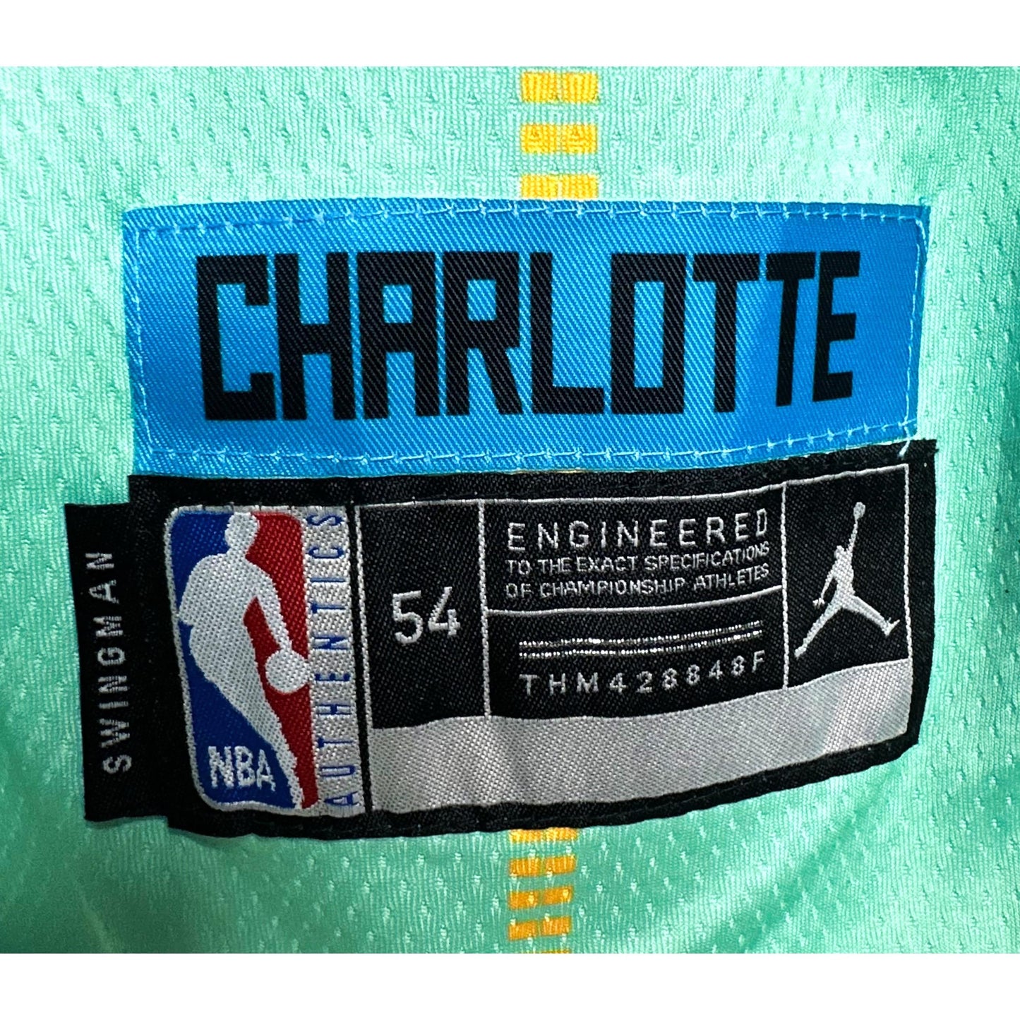 JORDAN CHARLOTTE BUZZCITY NO 1 PREMIUM BASKETBALL JERSEY