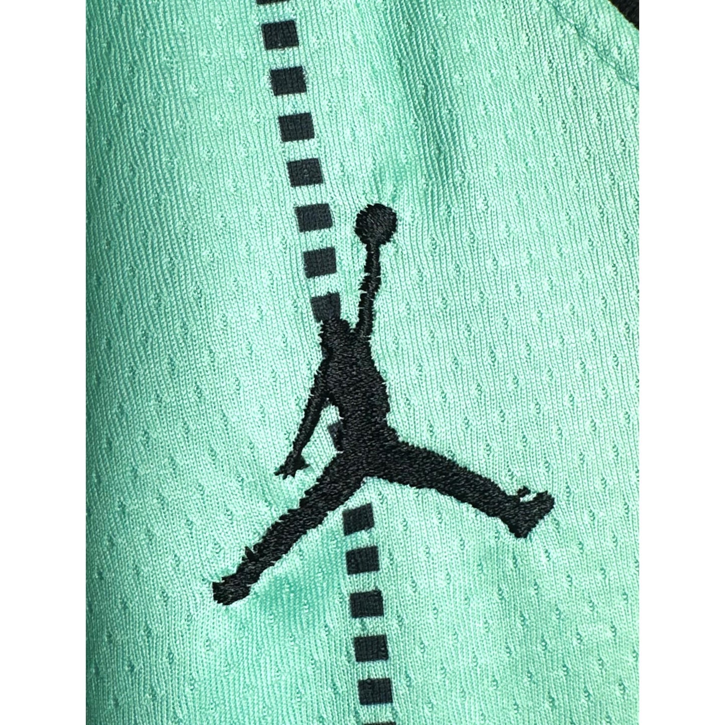 JORDAN CHARLOTTE BUZZCITY NO 1 PREMIUM BASKETBALL JERSEY