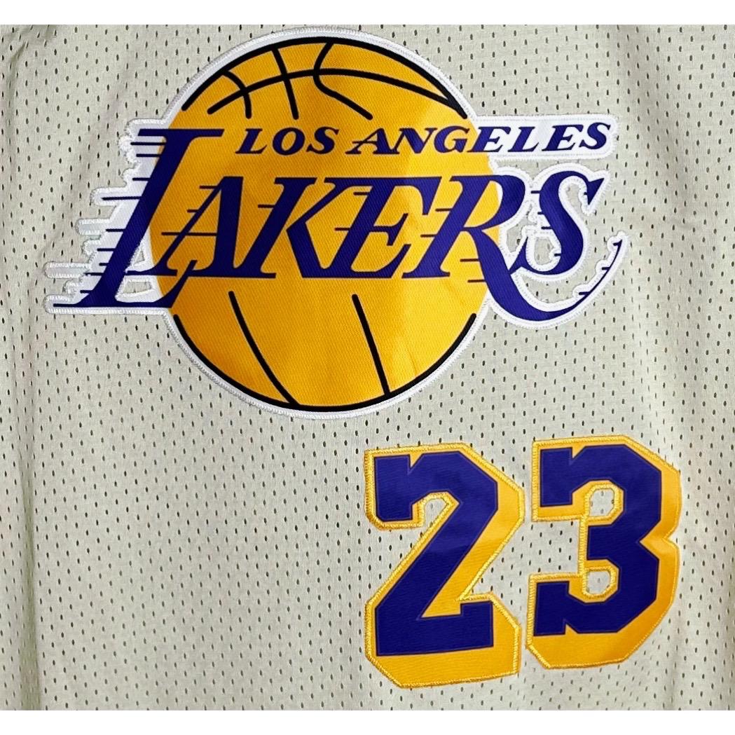 NIKE LOS ANGELES LAKERS JAMES NO 23 CREEM AND BLUE PREMIUM BASKETBALL JERSEY