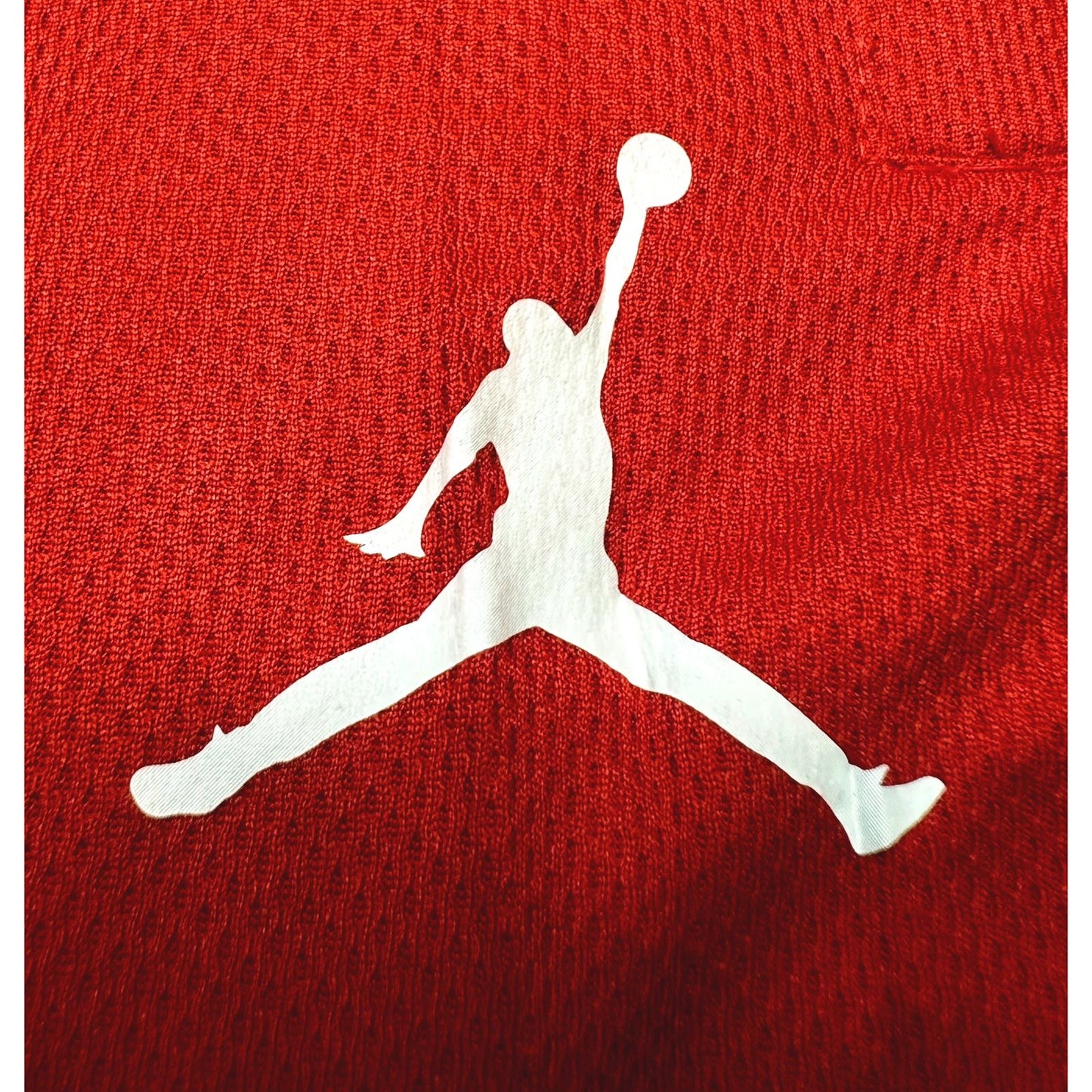 Jordan Legacy Mesh Shorts – Red/Black Edition