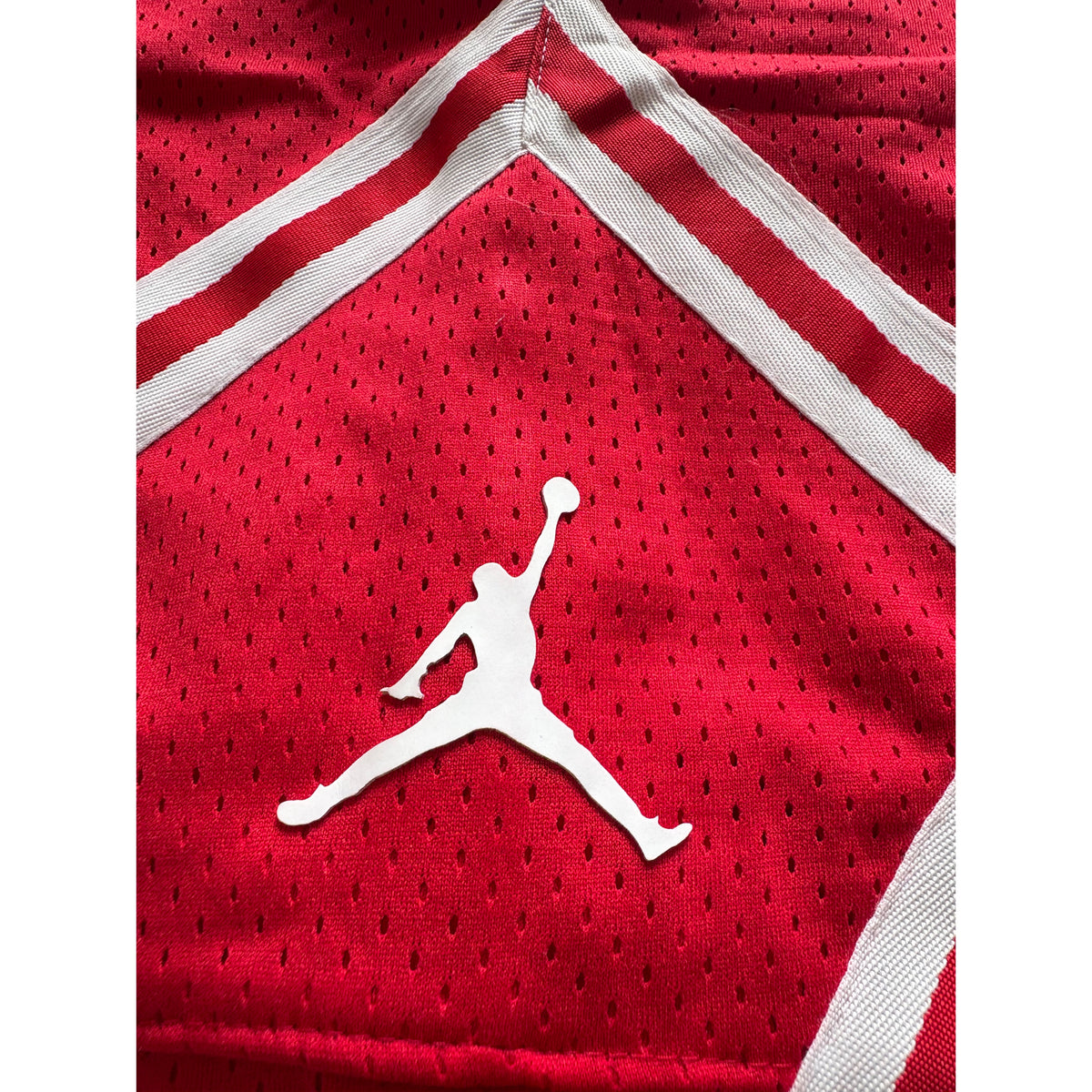 Jordan Signature Red Mesh Shorts