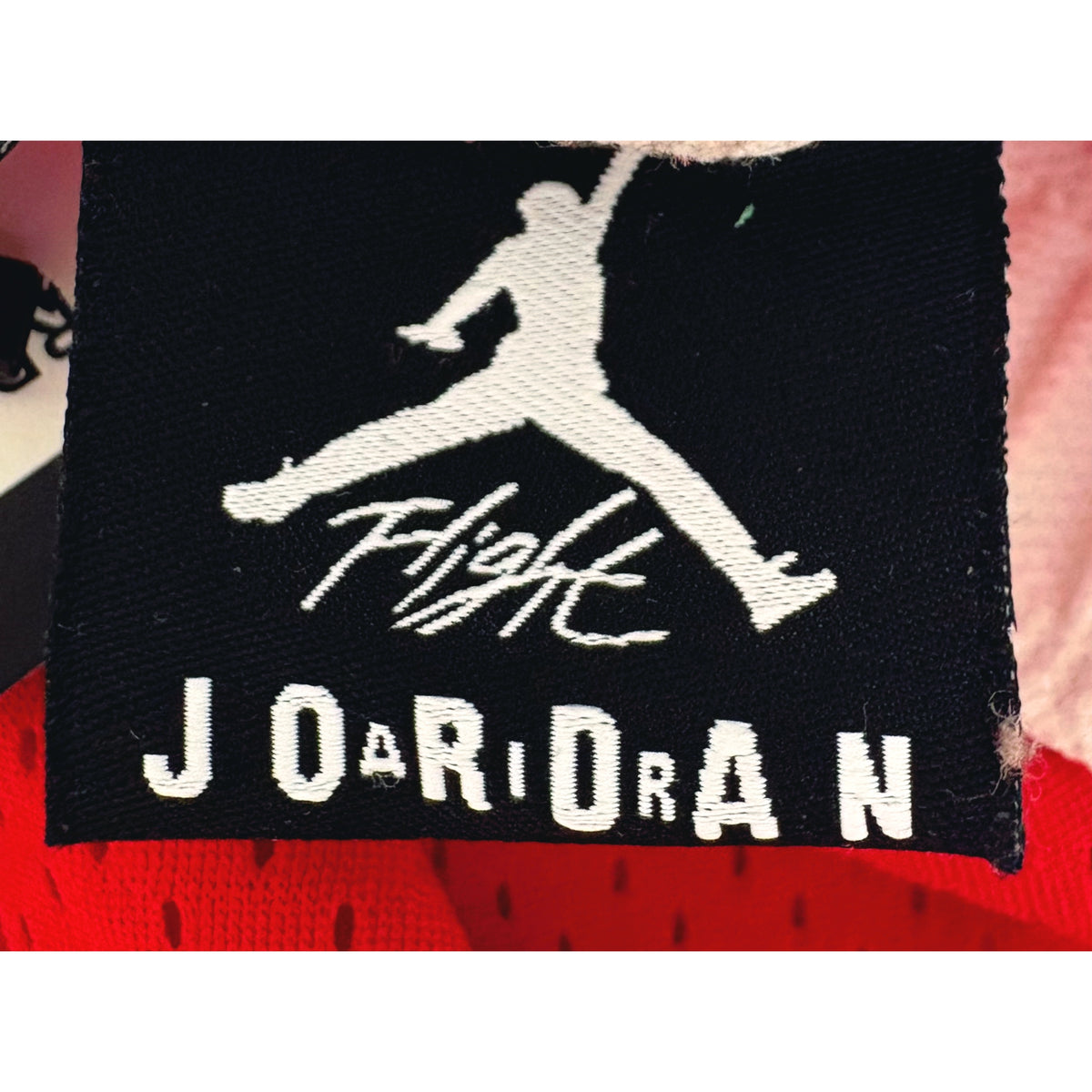 Jordan Signature Red Mesh Shorts