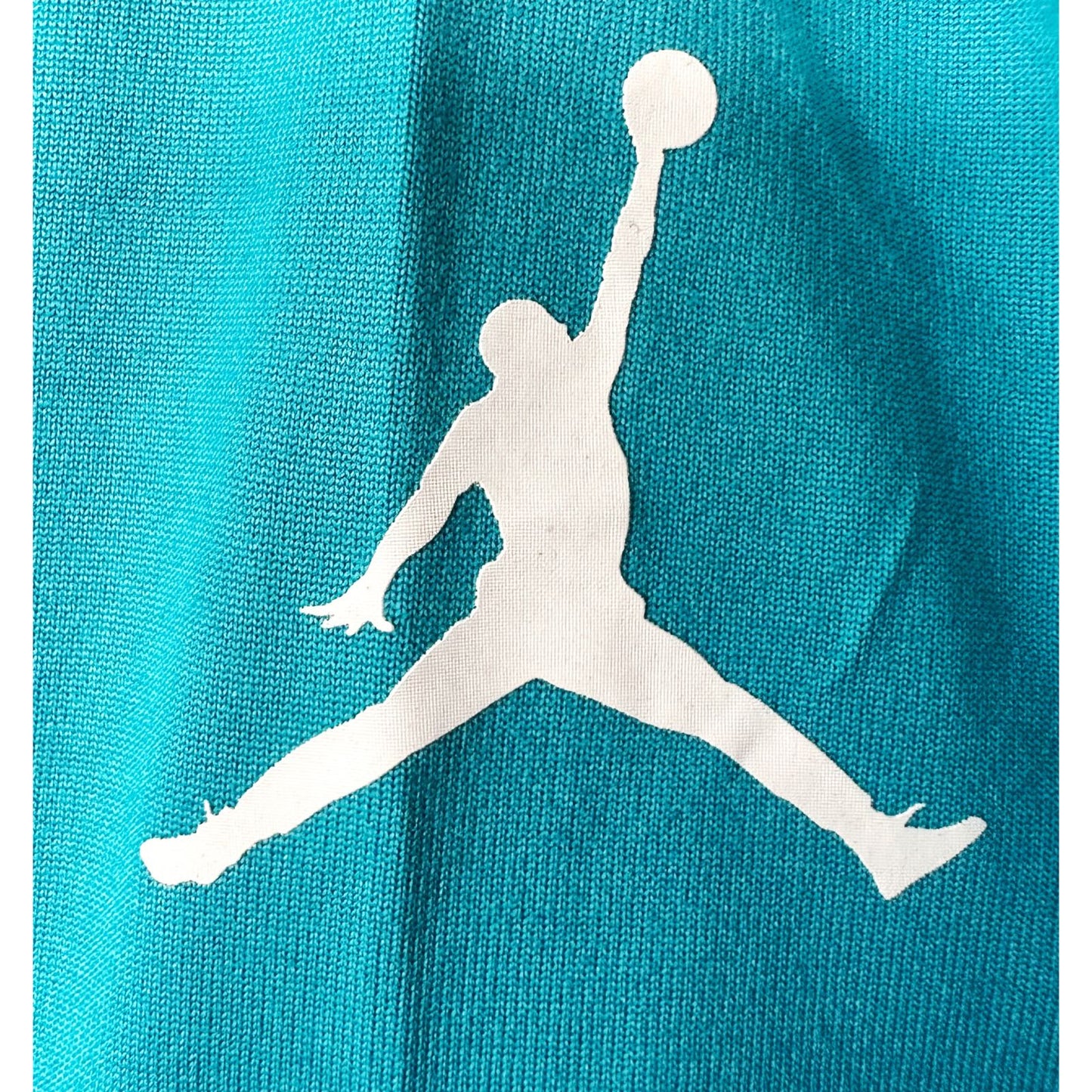 CHARLOTTE NBA BLUE SIZE- L BASEBALL JERSEYS