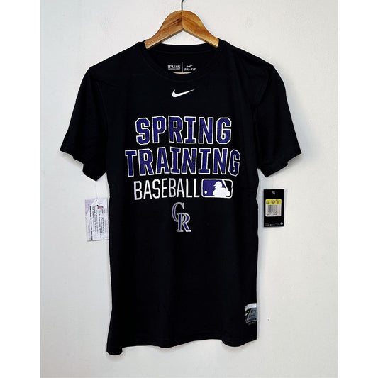 NIKE SPRING TRAINING BASEALL SIZE-M PREMIUM DRY-FIT