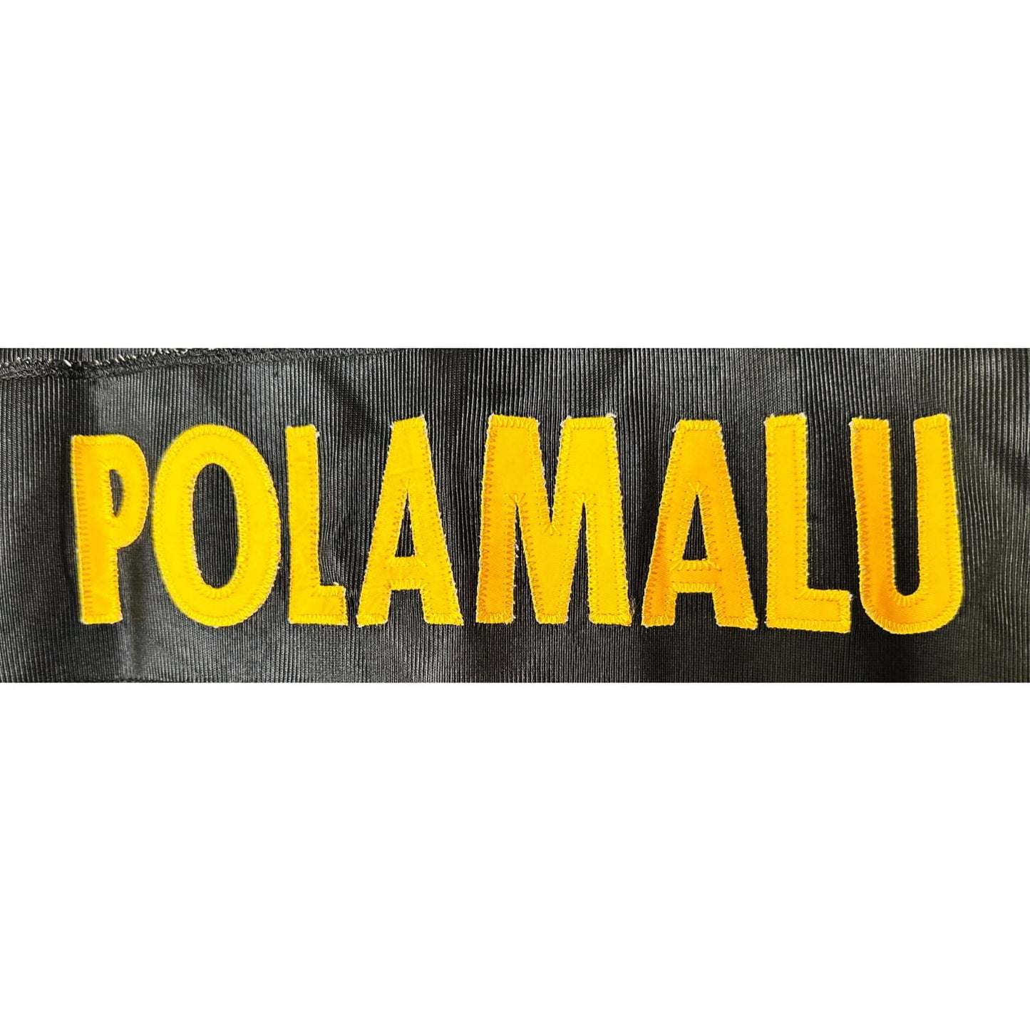 POLAMALU NO 43 SIZE-M NFL JERSEYS