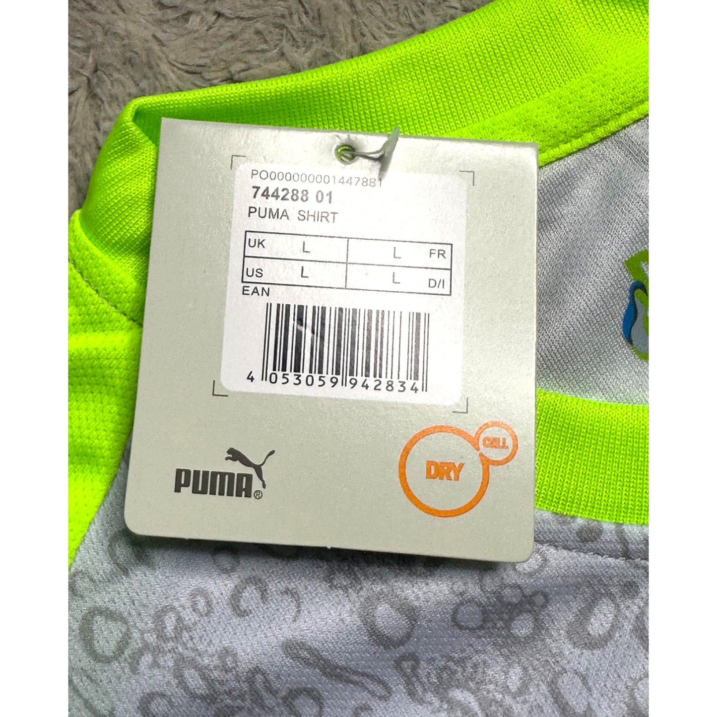 PUMA  MANCHESTER CITY 25/26 FOOTBALL KIT  GREY & PARROT