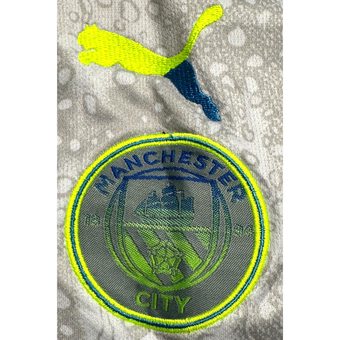 PUMA  MANCHESTER CITY 25/26 FOOTBALL KIT  GREY & PARROT