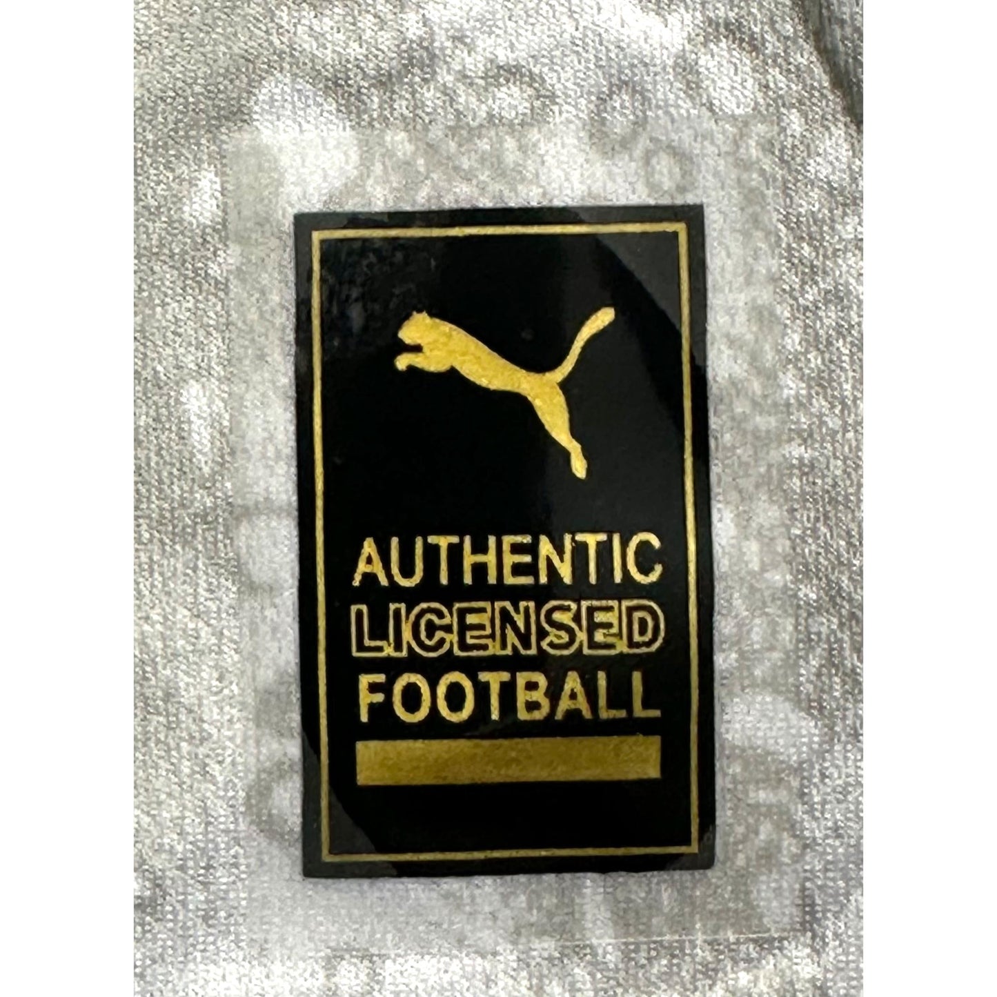 PUMA  MANCHESTER CITY 25/26 FOOTBALL KIT  GREY & PARROT