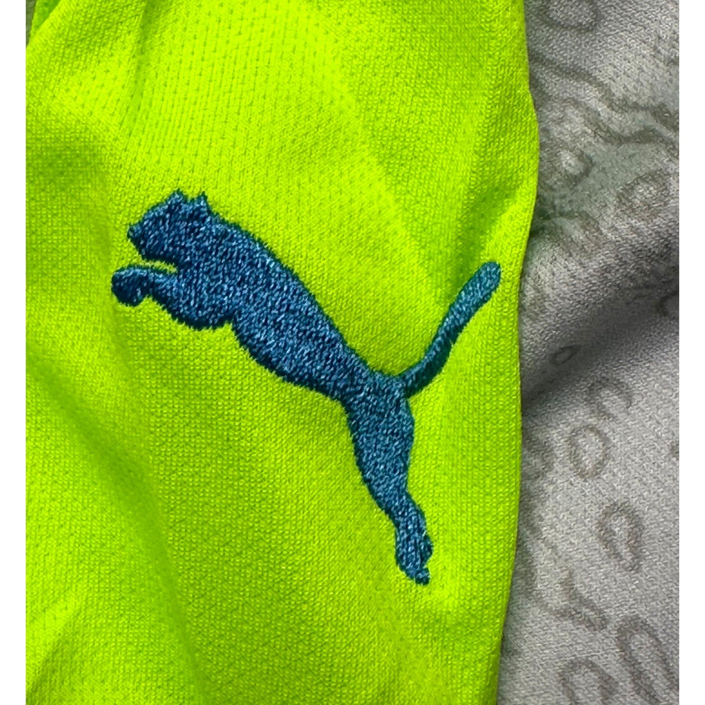 PUMA  MANCHESTER CITY 25/26 FOOTBALL KIT  GREY & PARROT